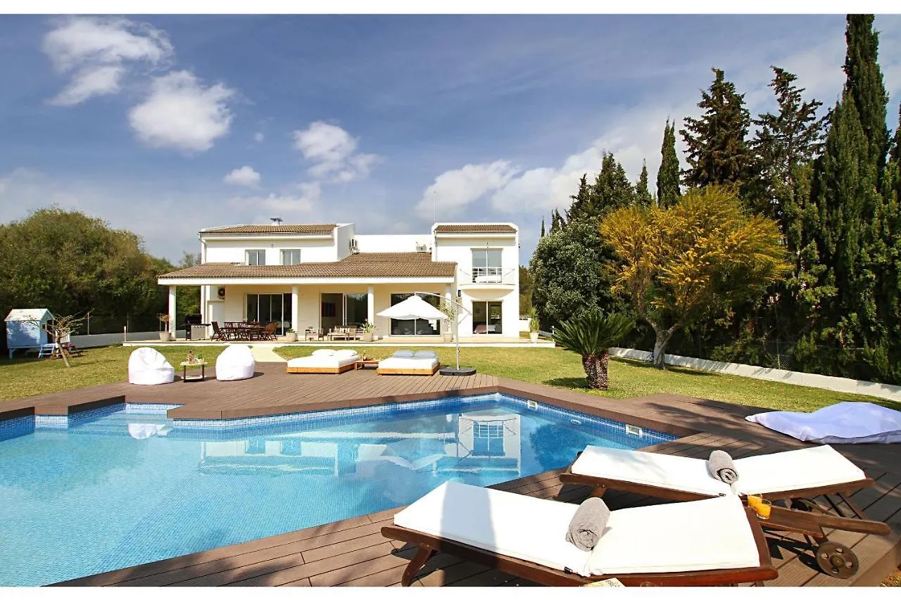 Modern Palmeras Pollenca