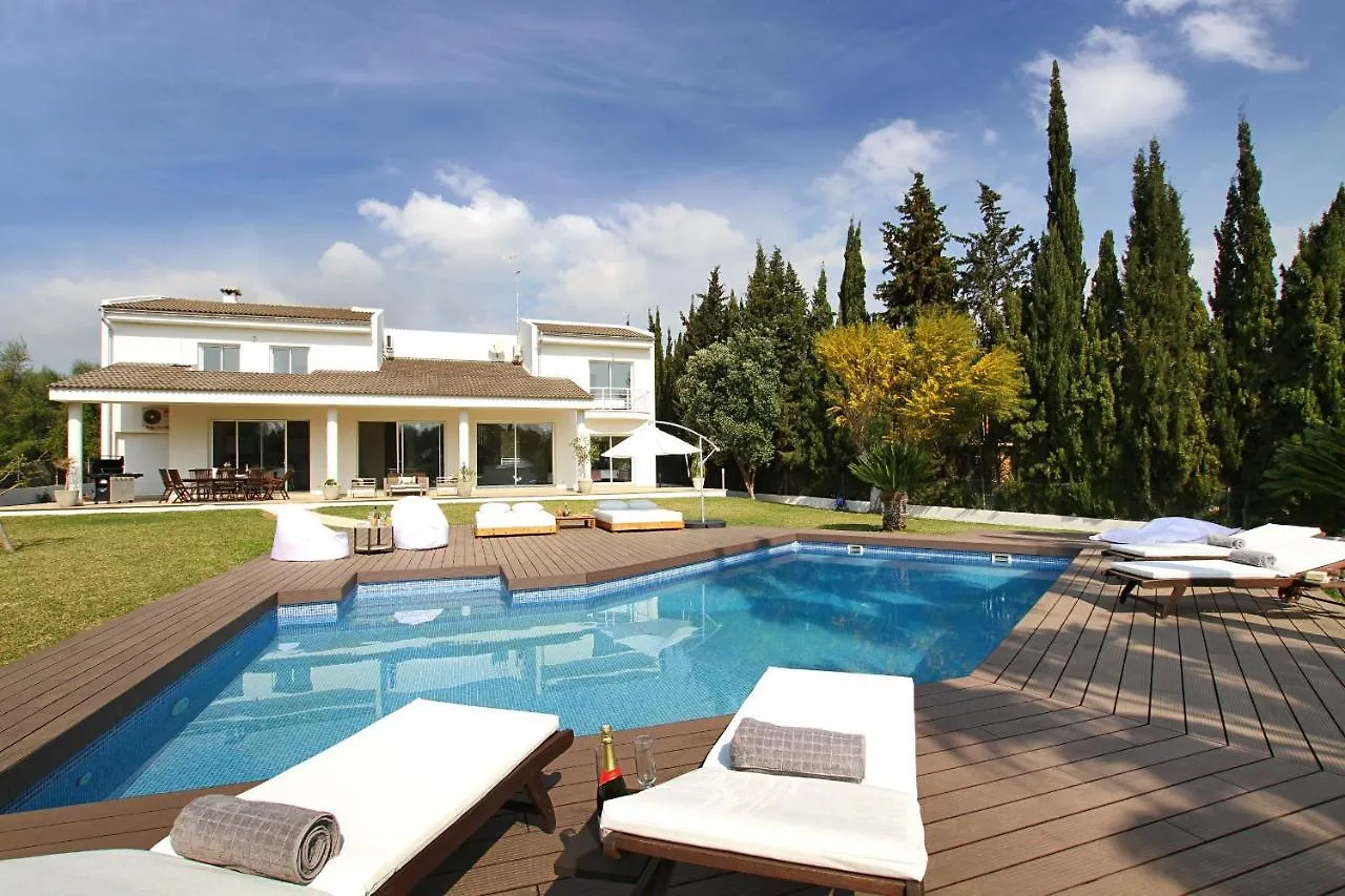 Villa Modern Palmeras Pollenca