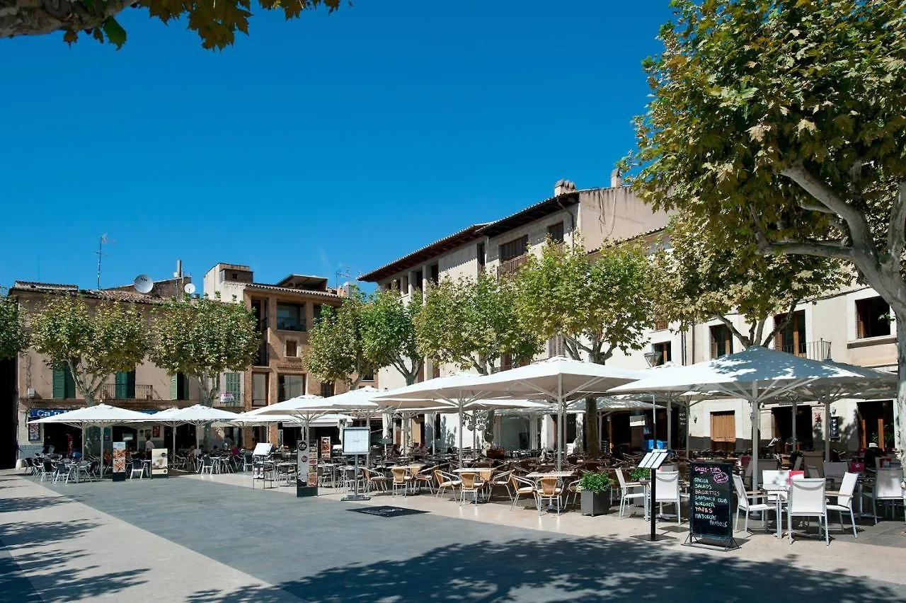 Modern Palmeras Pollenca Spain