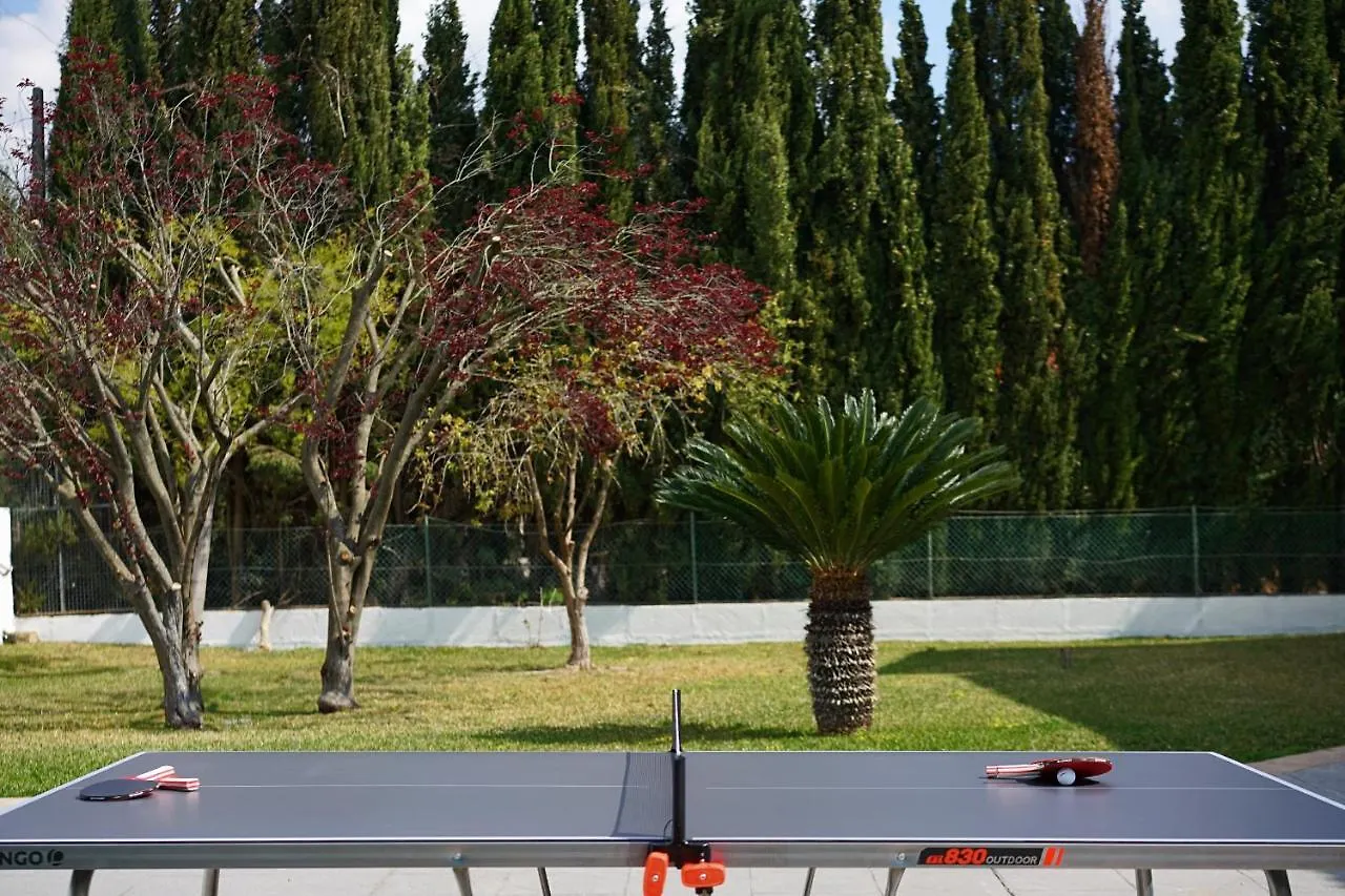 Modern Palmeras Pollenca