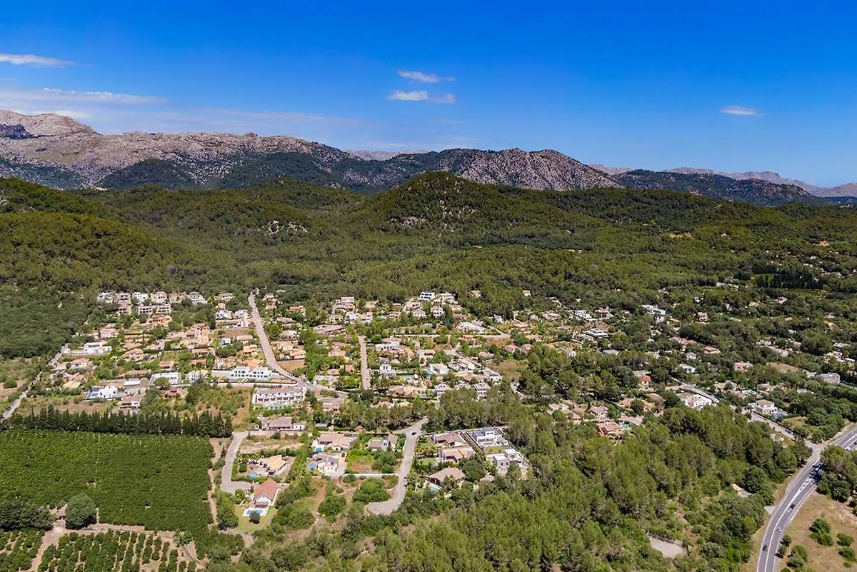 Modern Palmeras Pollenca Spain