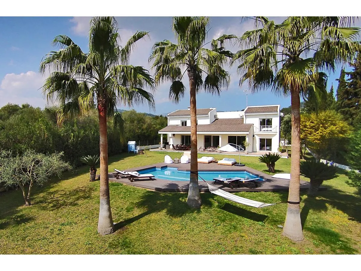 Modern Palmeras Pollenca