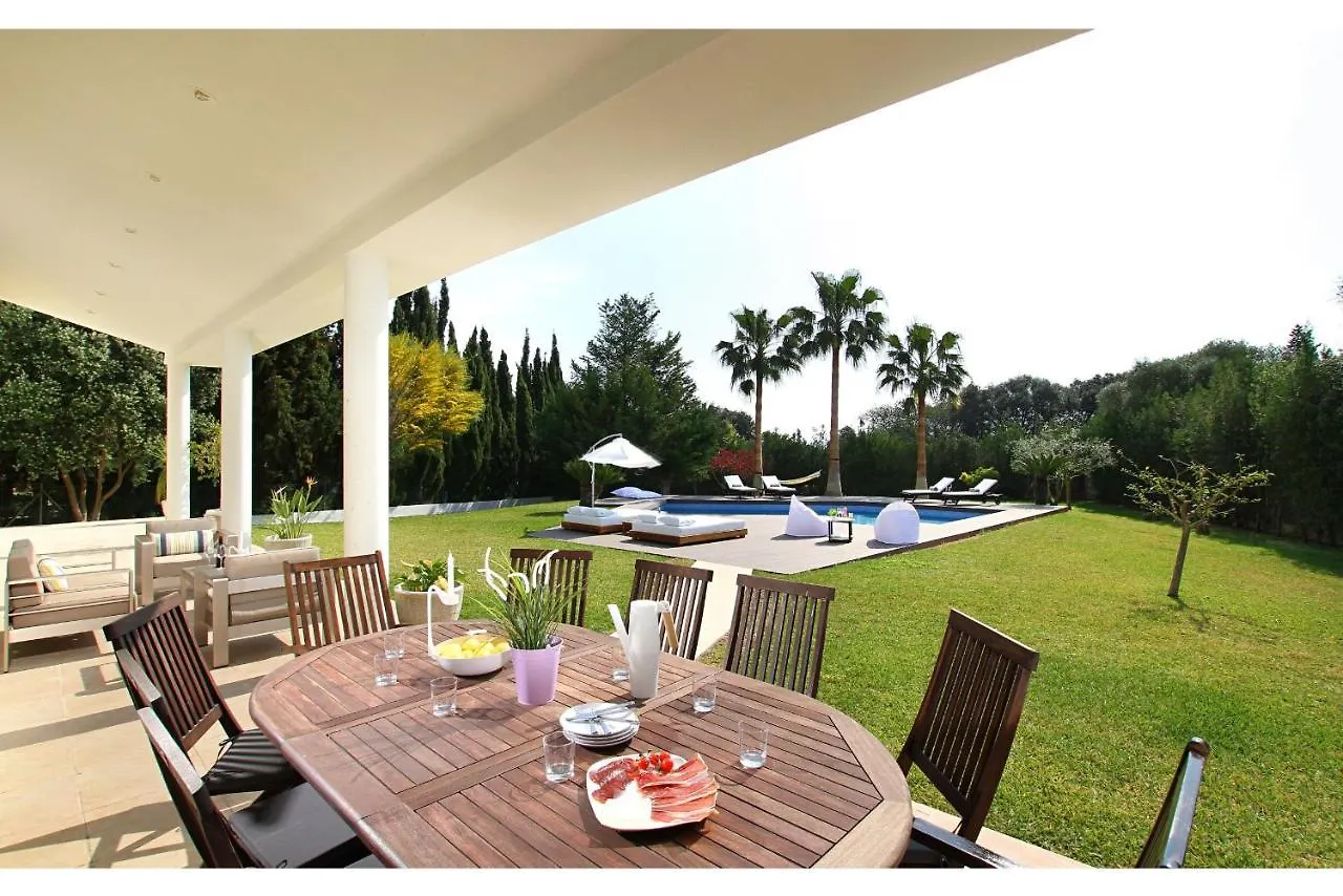 Modern Palmeras Pollença Vila